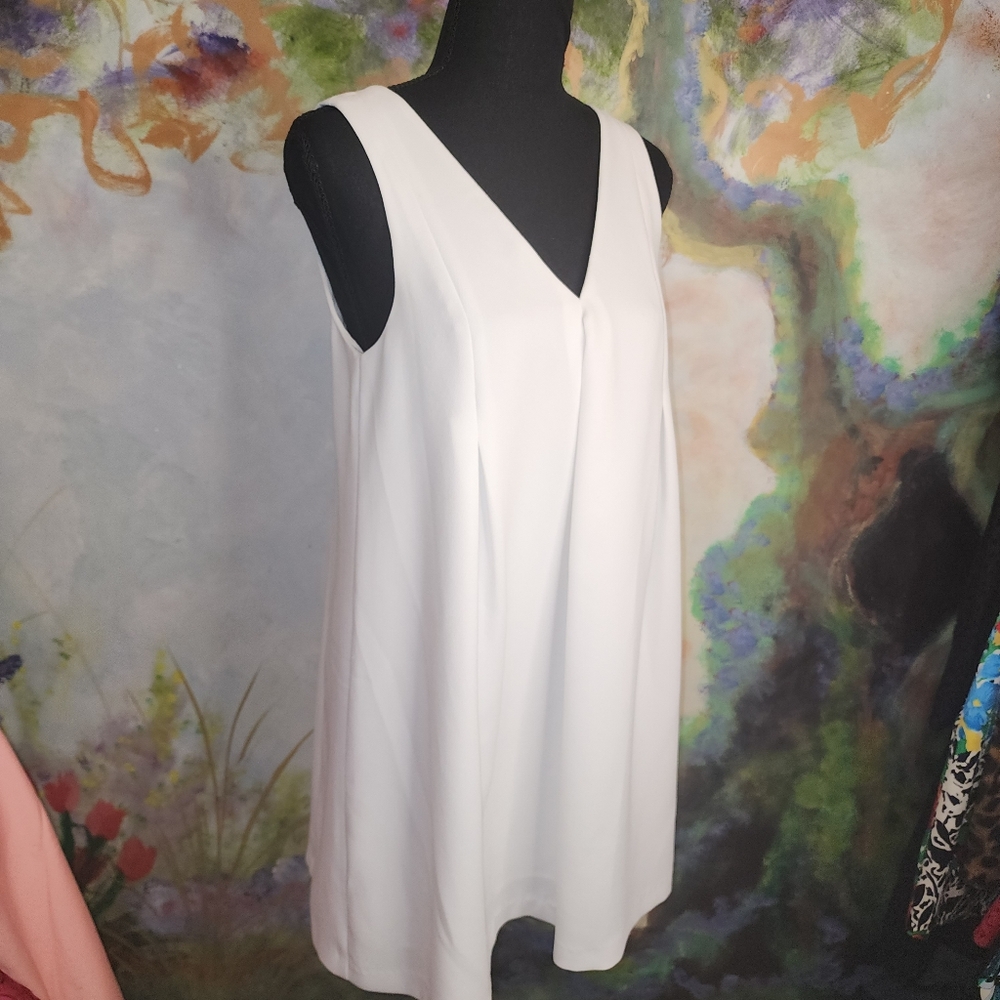 NWOT BCBG White Vneck Triangle Swing Dress w/  Back Cutout